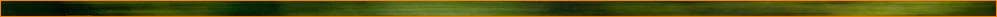 motorsports 2.jpg