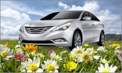 sonata_green.jpg