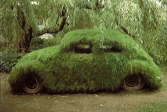 green bug.jpg