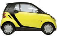 yellow.jpg