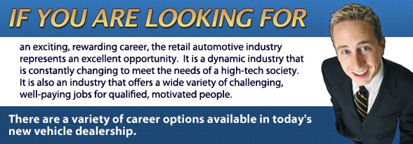 cyv_opportunities_header.jpg