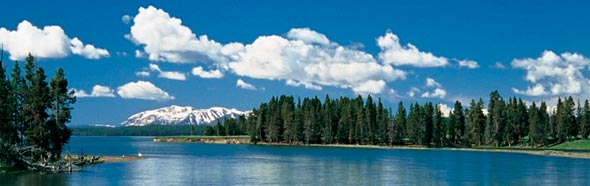 masthead_590x186.jpg
