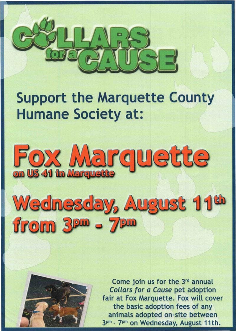 Fox Marquette Collars for a Cause
