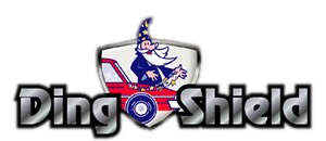 dingshieldlogo.jpg
