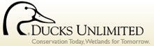 ducks_umlimited.gif