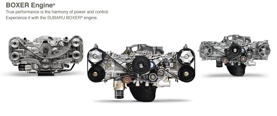 BOXER1.bmp