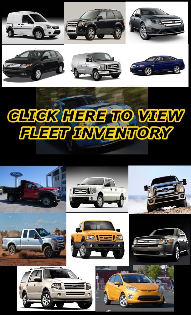 FLEET WIDGET.jpg