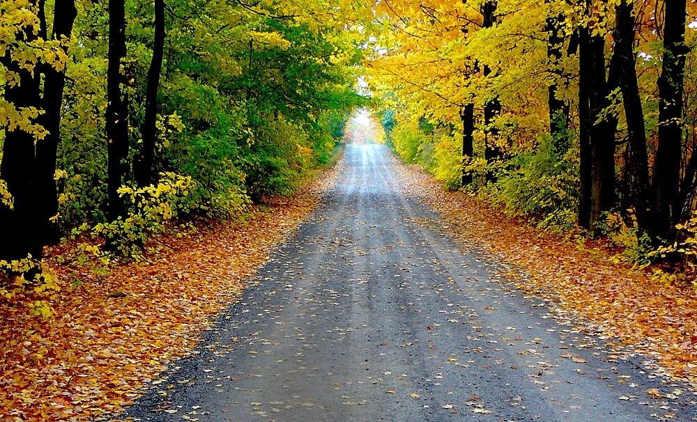 Fall Pic for Special Page.jpg
