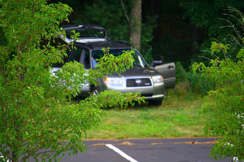 Free Range Forester 2.JPG