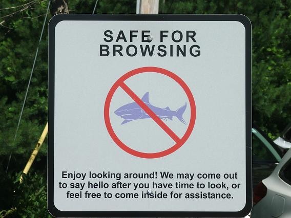safe for browsing resized.JPG