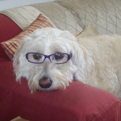 Annabelle.jpg