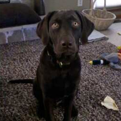 Rufus