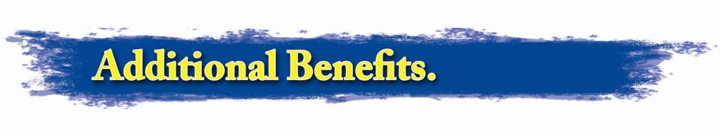 Additional Benefits11
