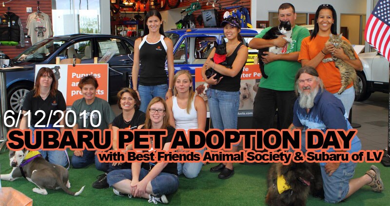 6_12_2010_slv_petadopt_title.JPG