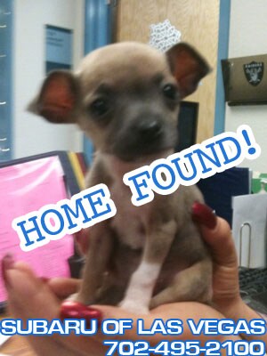 Home Found Thank you everyone