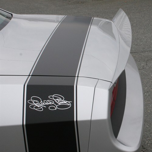 Richard Petty rear spoiler.jpg