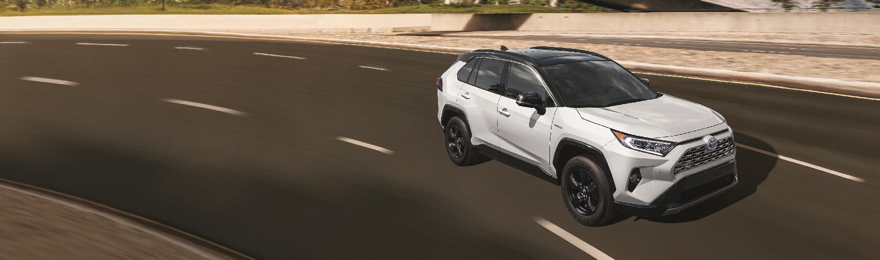 2019 Toyota RAV4 Hybrid XSE 2019 Toyota RAV4 Hybrid XSE