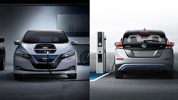 leaf-charging 600.jpg