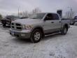 2010 Dodge Ram 1500 Truck Crew Cab