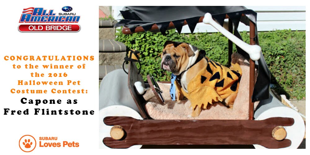 2016PetCostumeContest.jpg