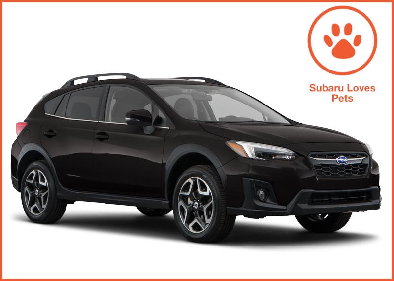 Crosstrek Subaru Loves Pets - October