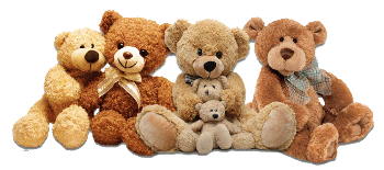 Bears-B.png