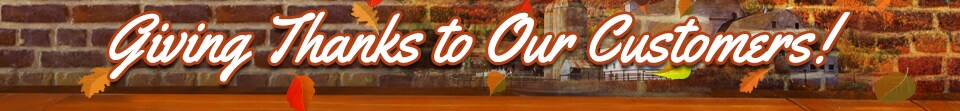 ActionHyundai_November_SRPbanner.jpg
