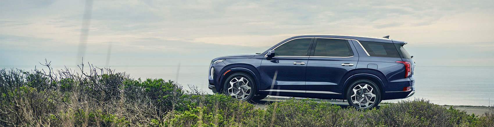 Hyundai Palisade Review