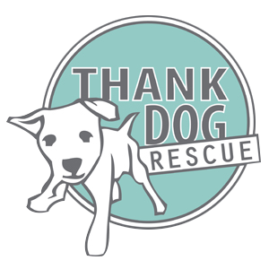 ThankDogRescue_mask.png