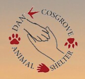 dan cosgrove.png