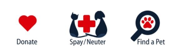 Texas Humane2.JPG