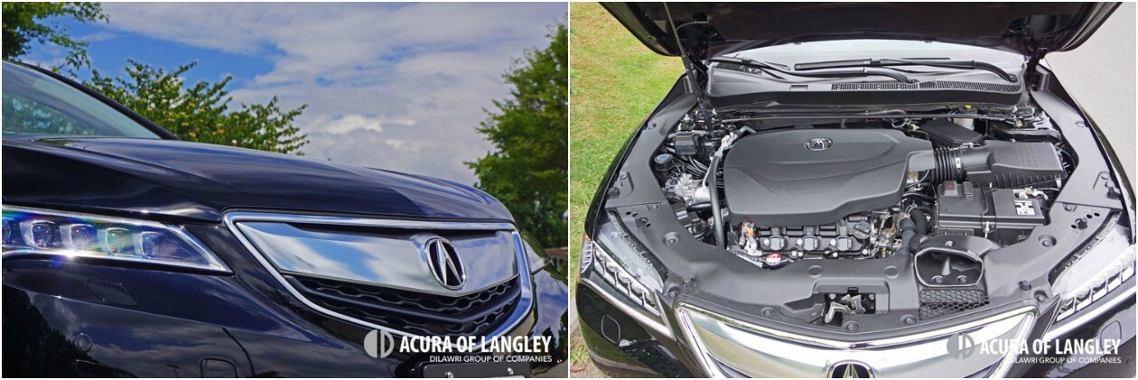 AOL-TLX Collage.jpg