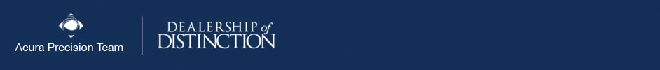 Precision Banner.jpg