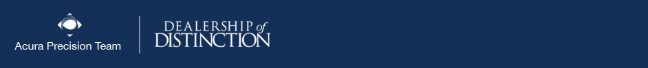Precision Banner.jpg