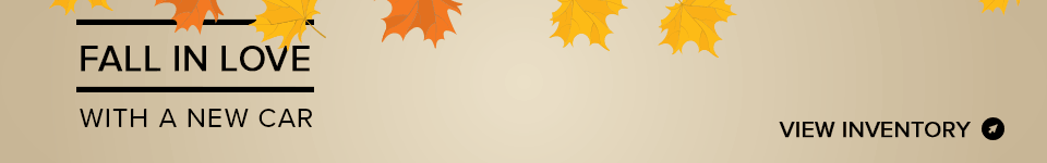 Fall-Skinny-GIF-2.gif