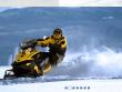 SKI-DOO MX Z TNT