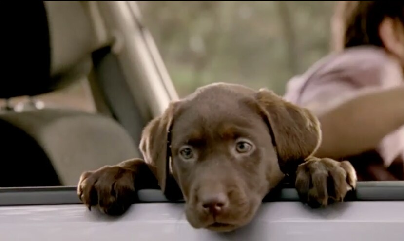 subaru-ad.png