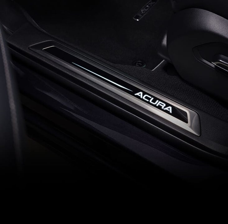 2023 RDX Accessories Door Still Trim Set.jpg