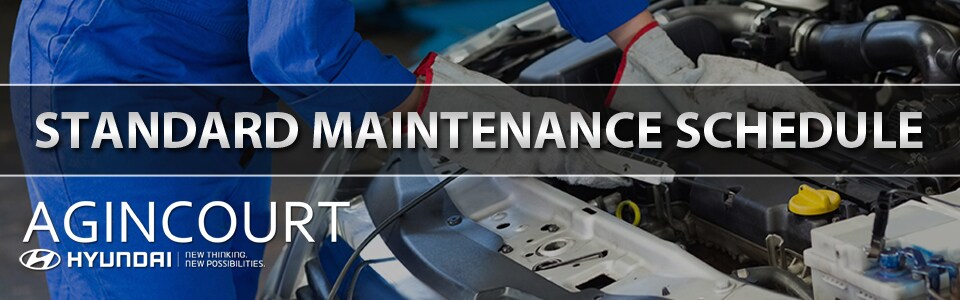 StandardMaintenanceAgincourtHeader.jpg