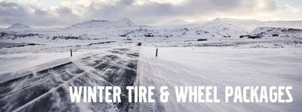 Winter Tire Special.png