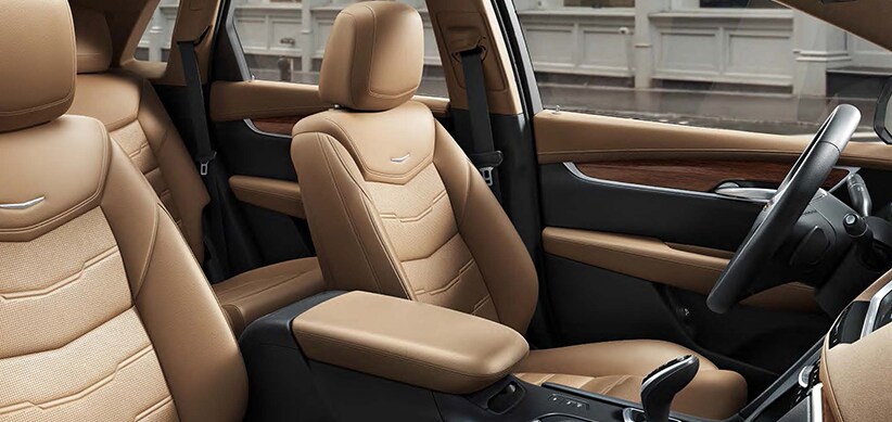 interior.png