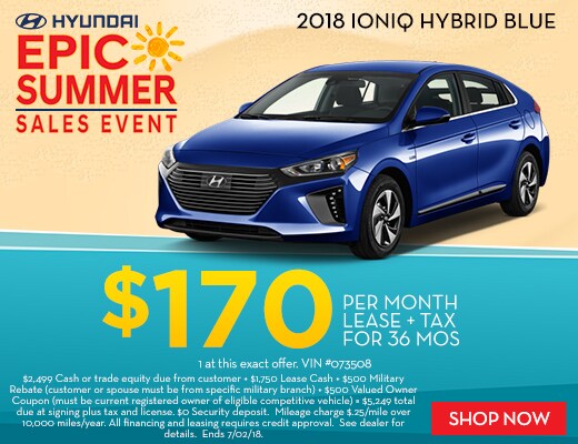ioniq (1).jpg