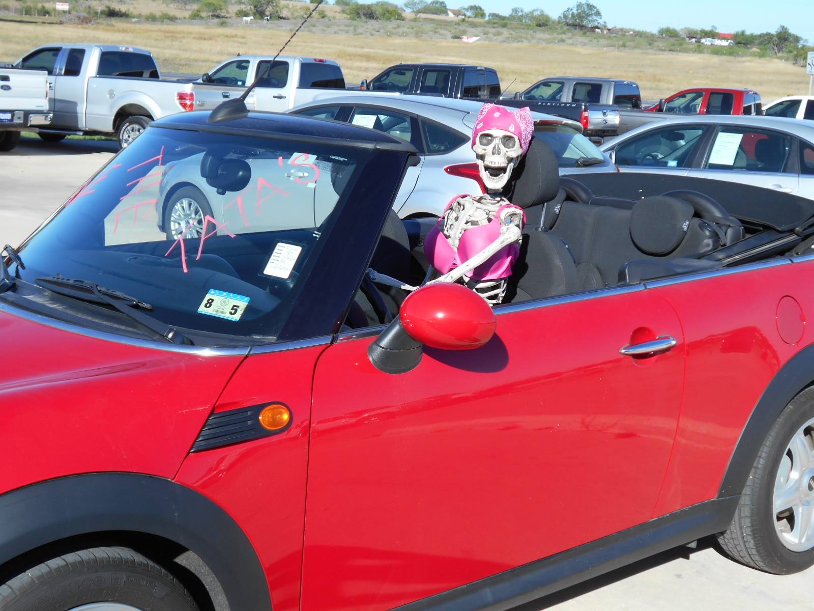 Pink Out Day #5.jpg