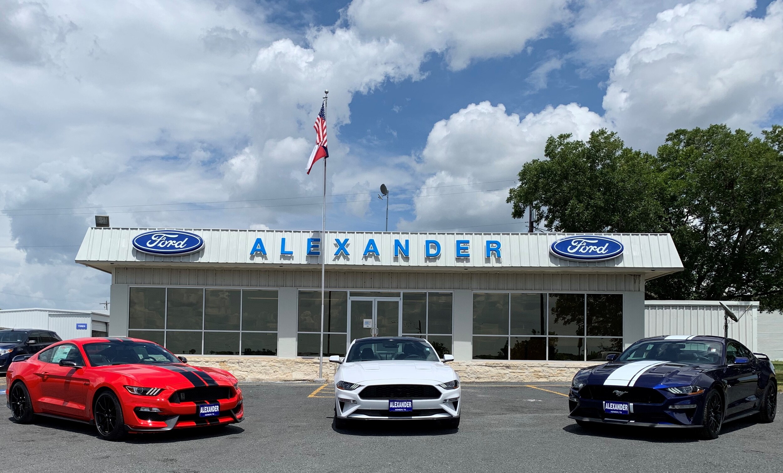 alexander 2019 mustang pic.jpg