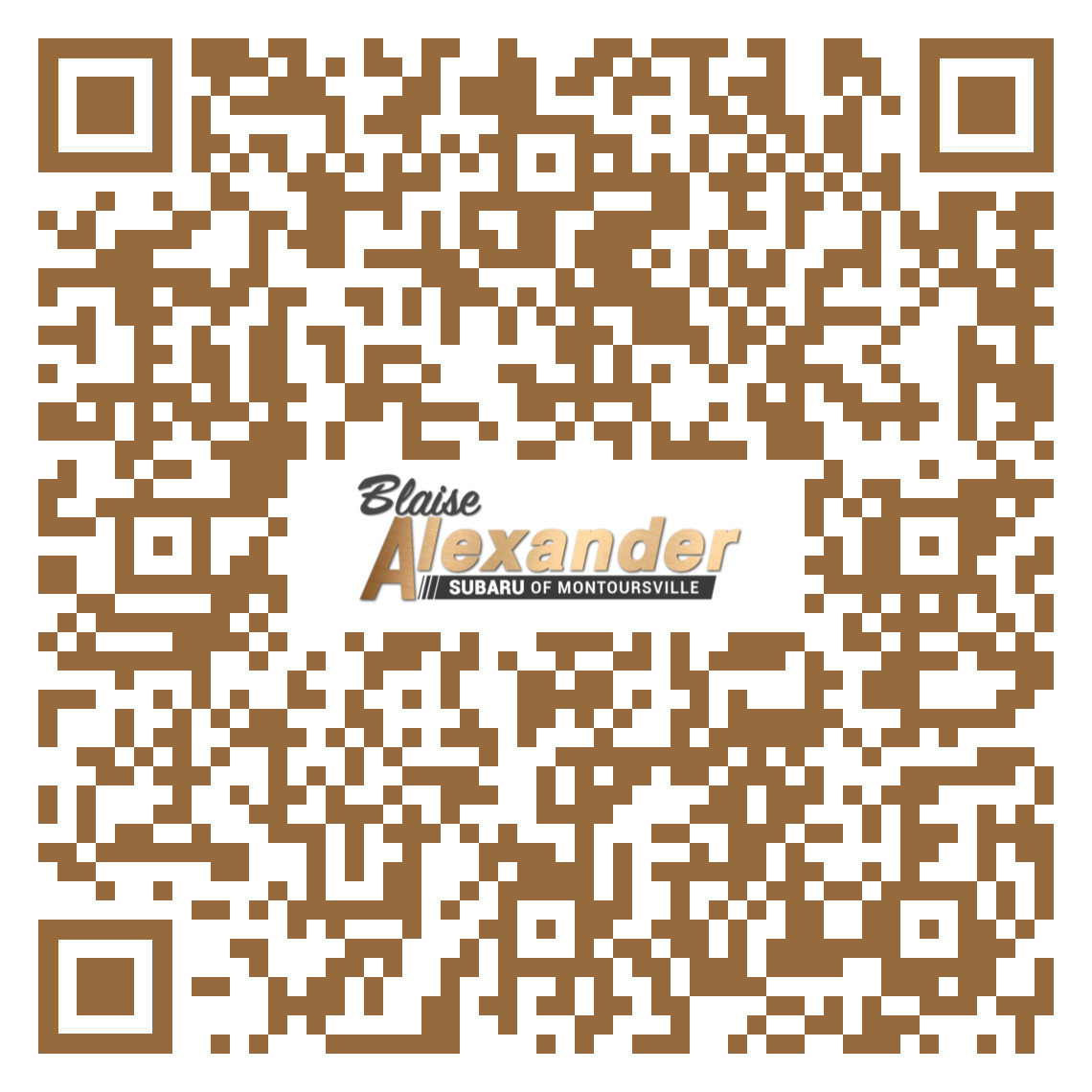 BlaiseAlexanderSubaru food bank 2.png