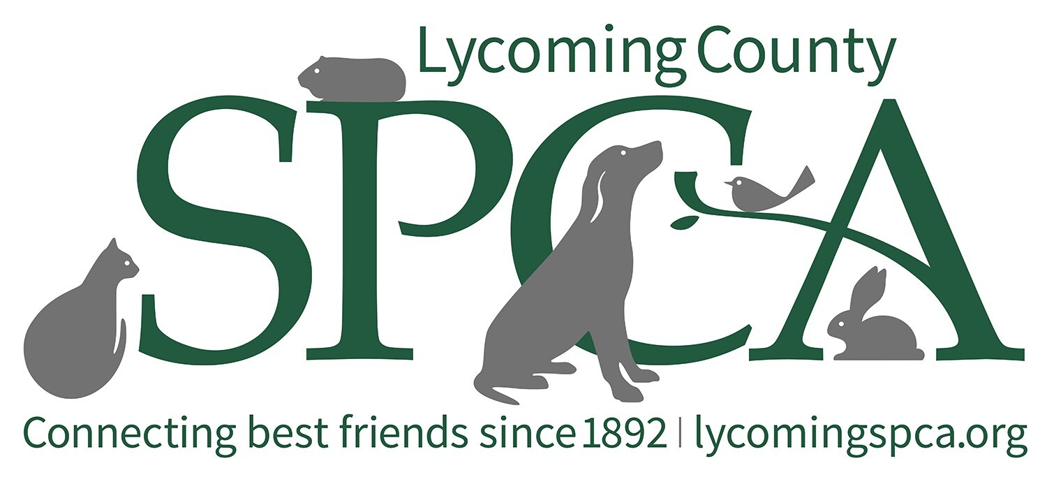 lycoming County.jpg