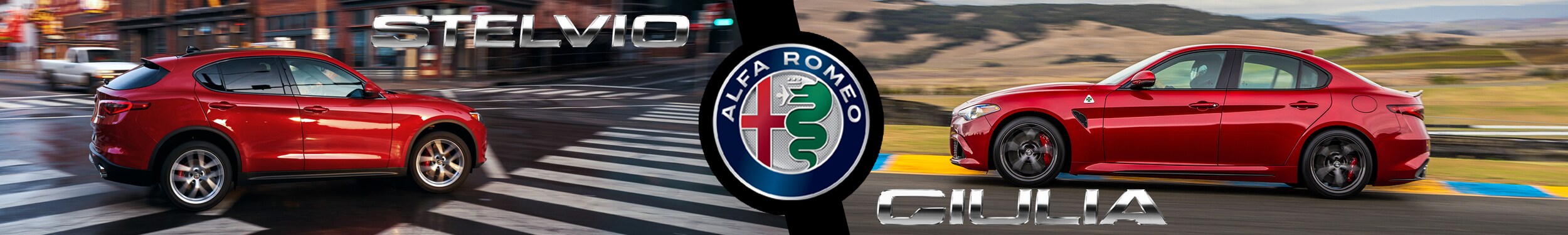 alfawebsitebanner.jpg