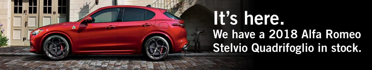 Stelvio Quadrifoglio