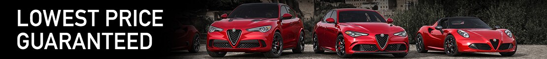 Alfa_LowestPrice_Banner_1110x120.jpg