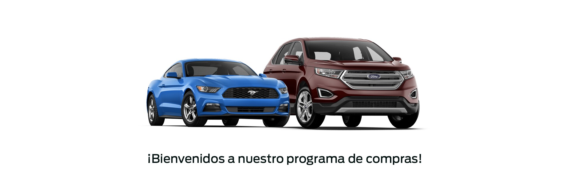 1 Header OB.png